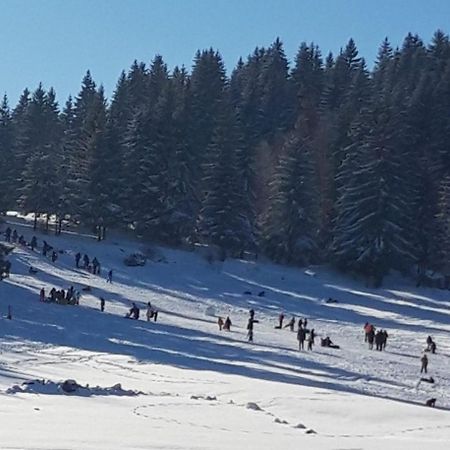 Apartman Zlatar-Vasiljevic Nova Varoš エクステリア 写真
