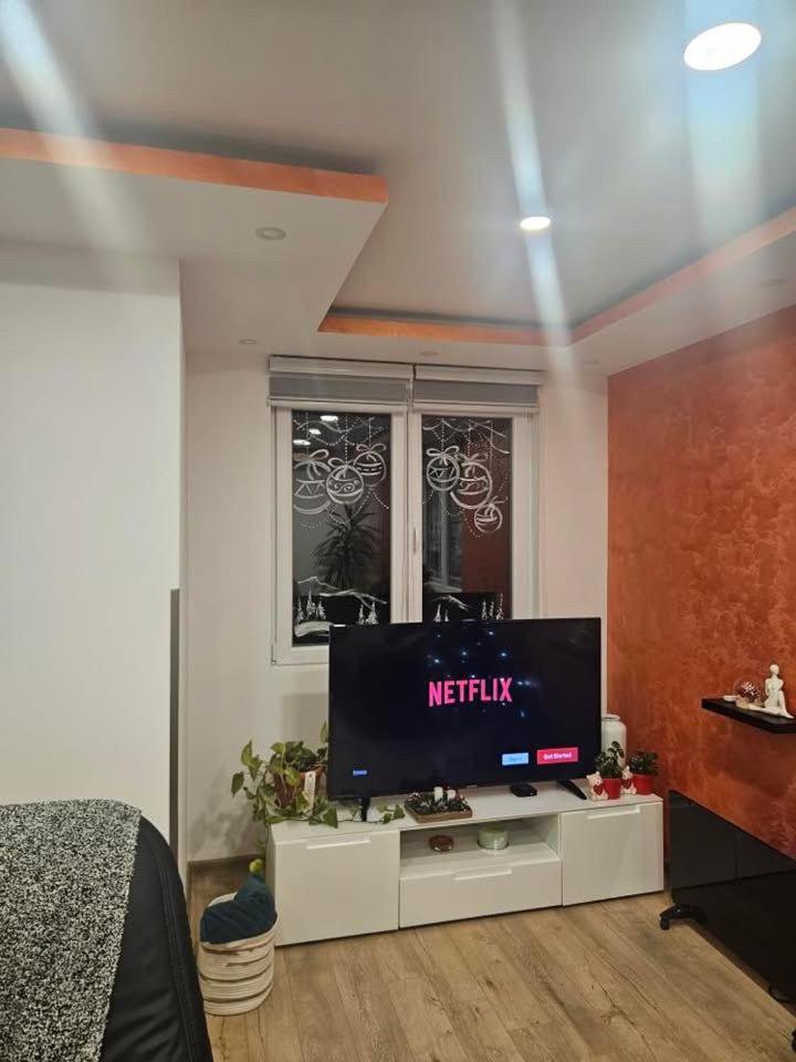 Apartman Zlatar-Vasiljevic Nova Varoš エクステリア 写真